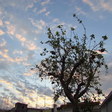 B&B La Muraglia Bari