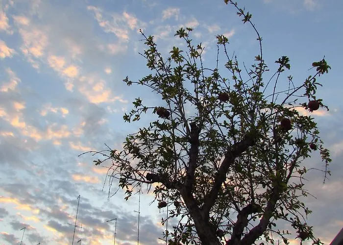 Nocleg ze śniadaniem La Muraglia Bari